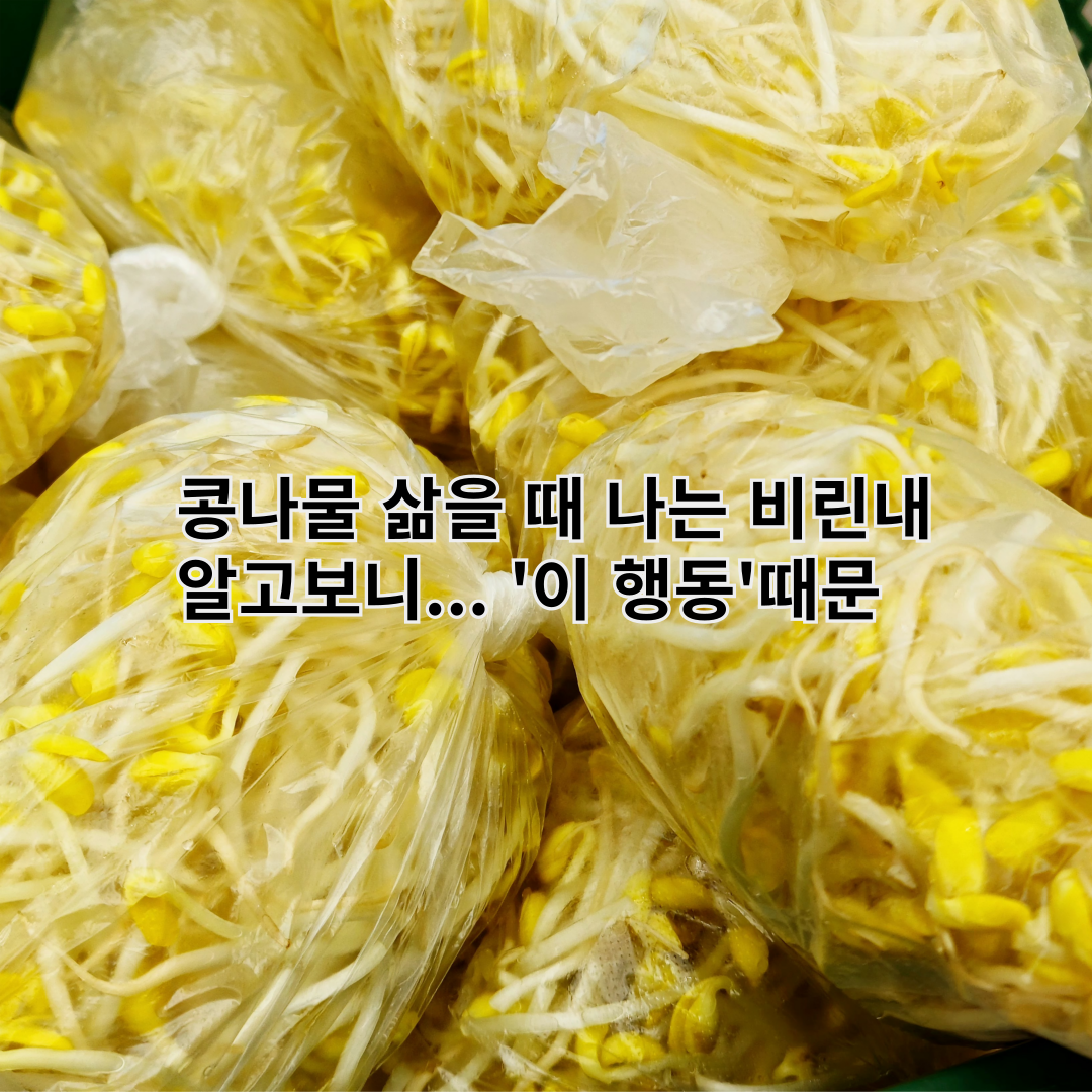 콩나물 삶을 때 나는 비린내의 원인을 설명하는 썸네일 이미지