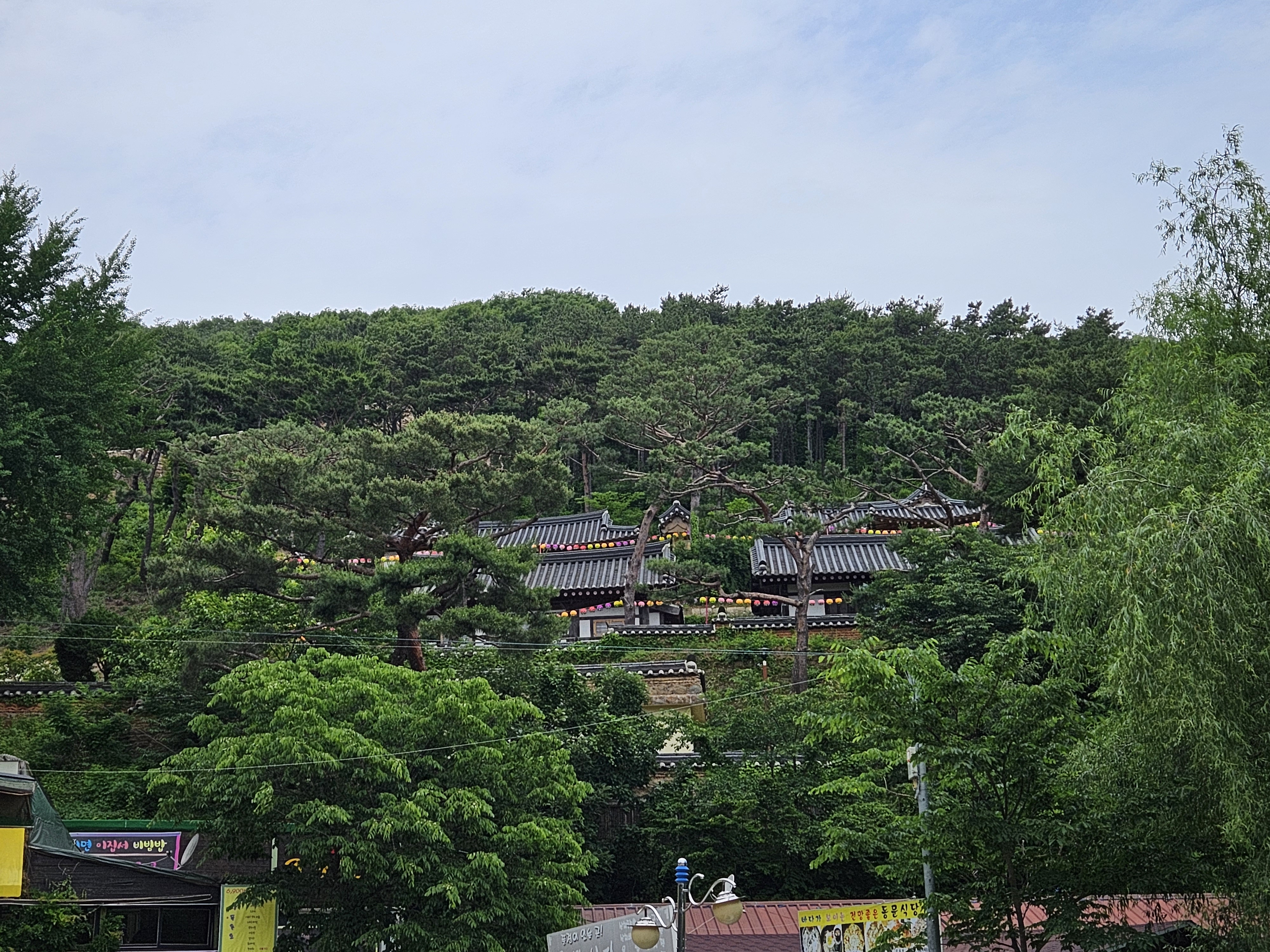 강화도 반려동물동반 식당