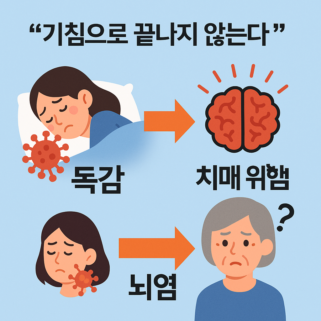 독감과 치매의 연관성 – 바이러스 감염이 뇌에 미치는 영향과 예방의 중요성