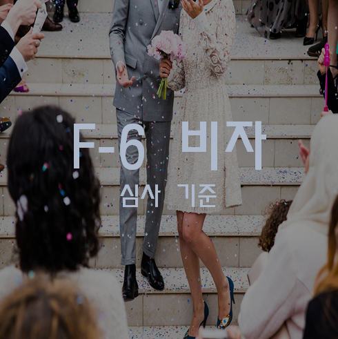 F6비자