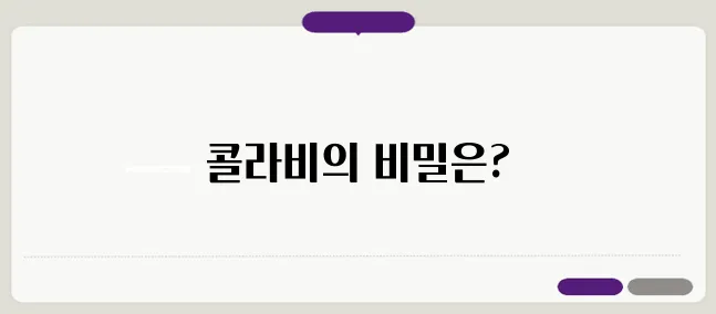 콜라비 효능 이보다 자세히 설명할순없다