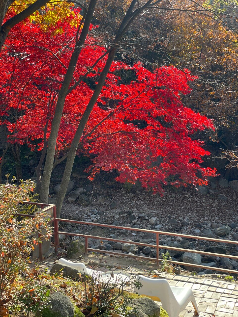 생생정보 핫 플레이스 Now 북한산 둘레길 10구간 북한산 놀면라면 카페 생생정보 2297회