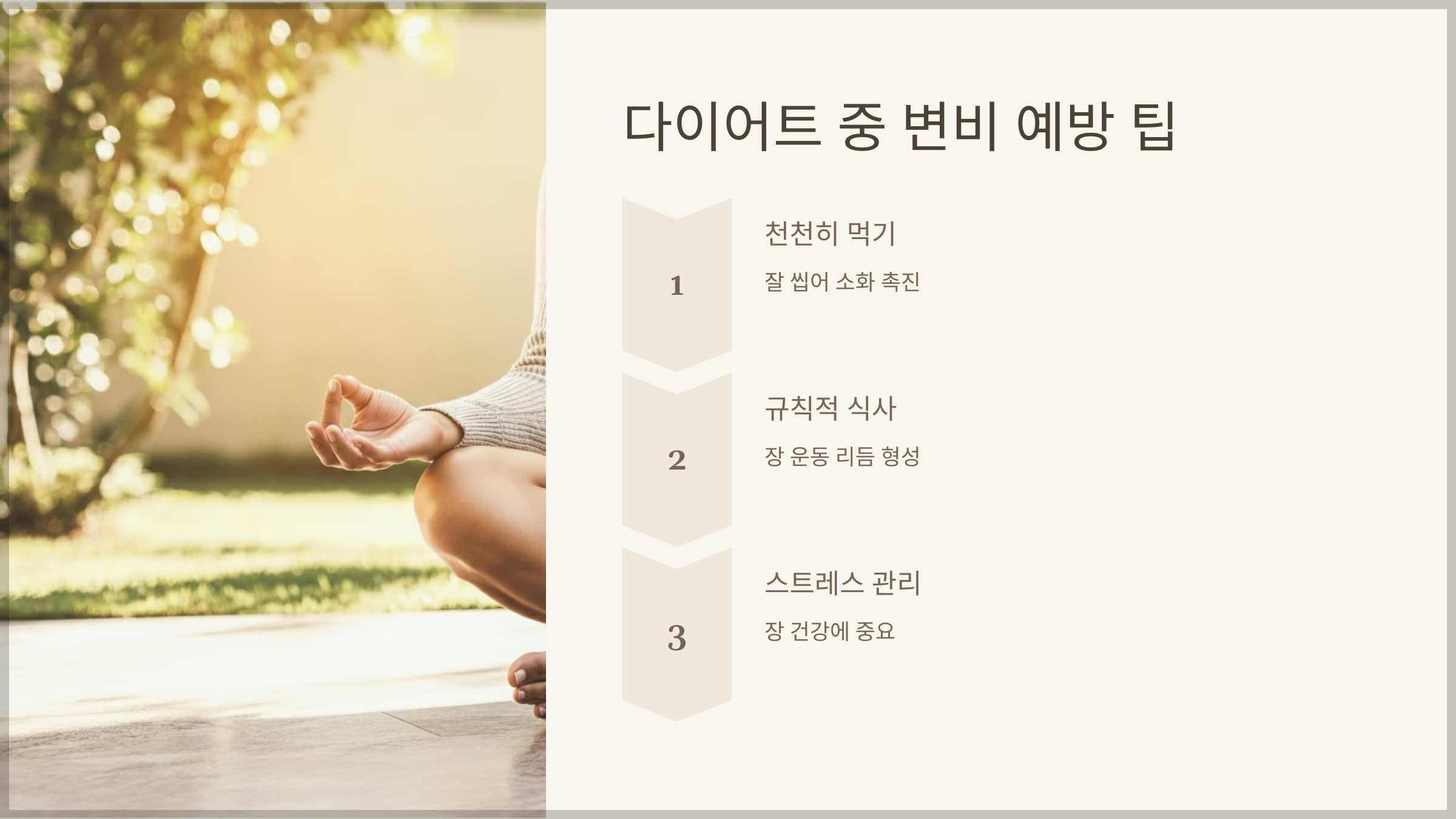 다이어트 중 변비 예방 팁