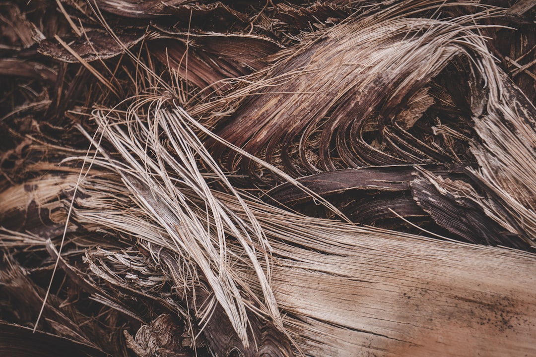 Shedding