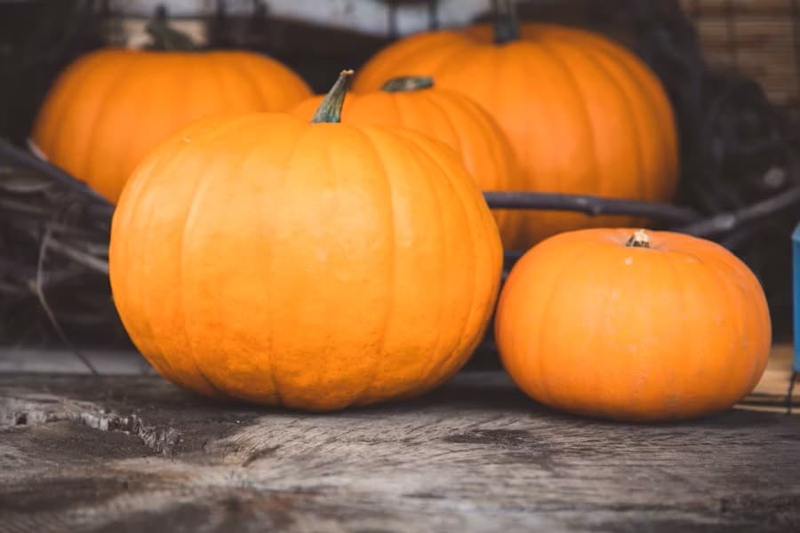 "채소가 탄수화물로 가득? 건강한 식단을 위한 모든 것“4