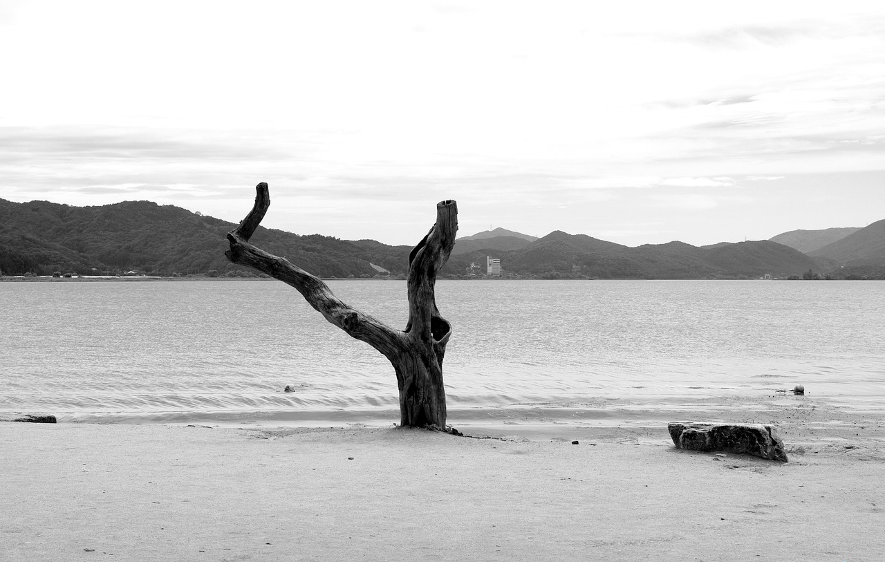 경기도 관련사진