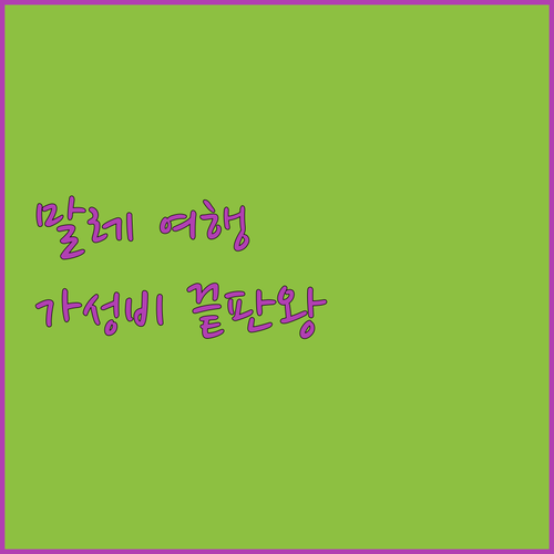 식스 인 원, 가성비 최고의 선택! 