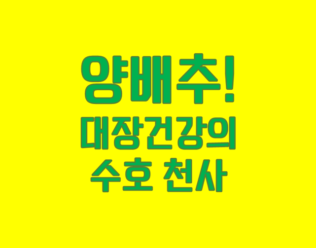 「양배추의 비타민 U」 대장 건강의 수호 천사!