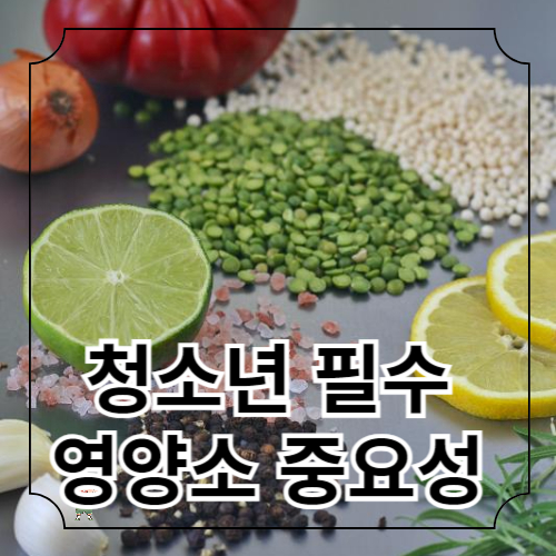 청소년 필수 영양소