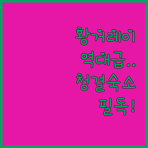 뉴질랜드 황거레이 도심 근처 깨끗한 ..