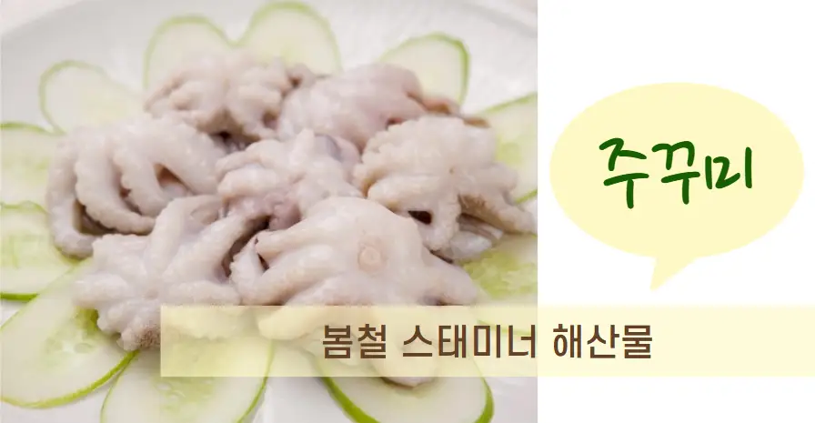 주꾸미 &ndash; 봄철 스태미너 해산물