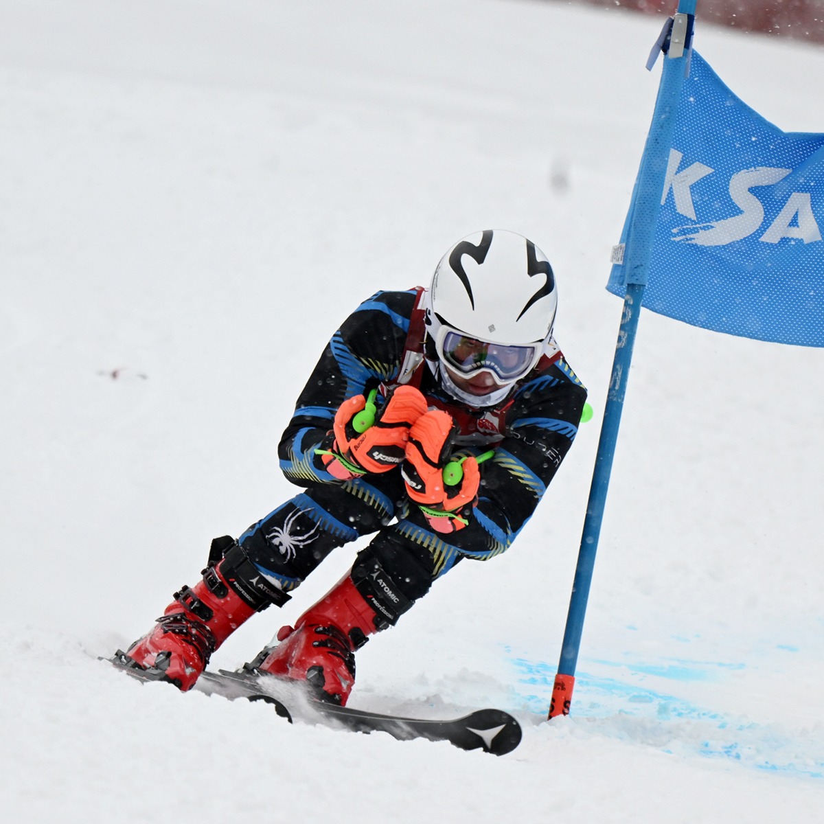 제105회 전국동계체전 종합순위 결과