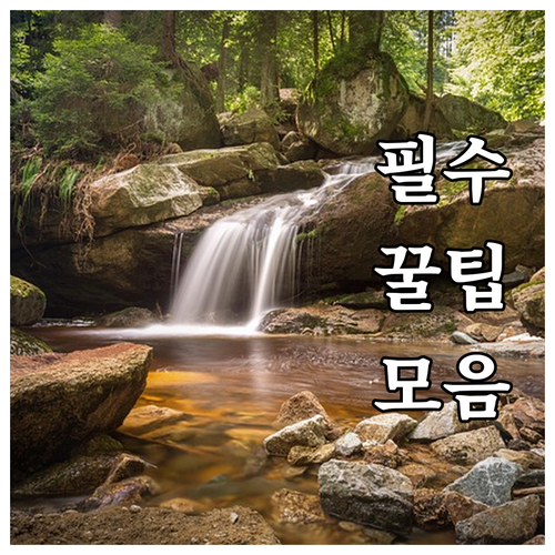 쌍림동 대형폐기물 처리: 인터넷 신고..
