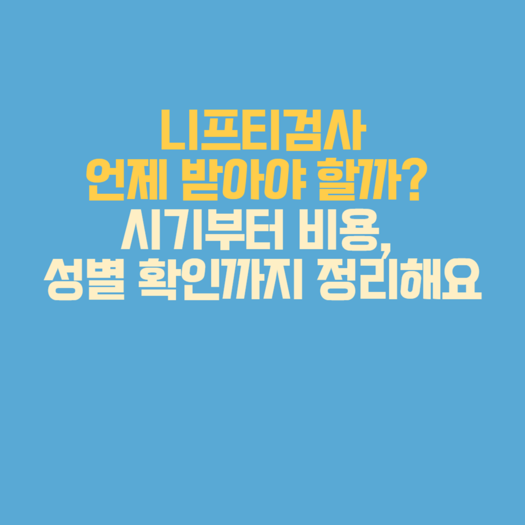 니프티검사 언제 받아야 할까? 시기부터 비용, 성별 확인까지 정리해요