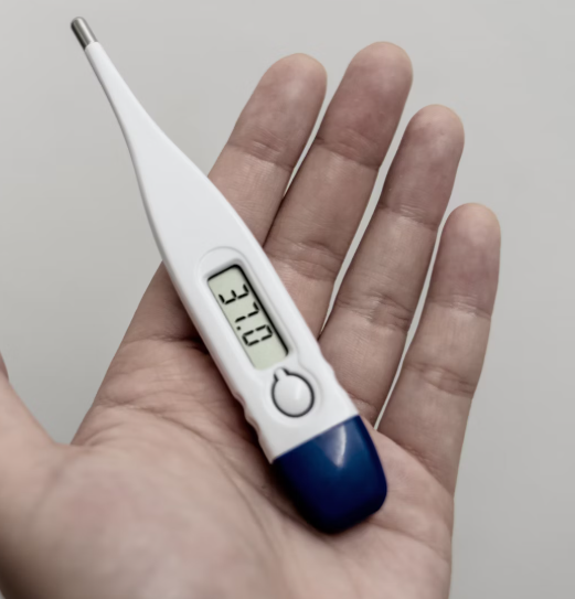 칡 효능 부작용