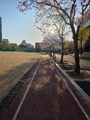 규칙적인 생활 습관과 운동