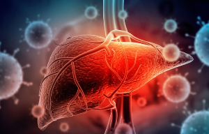 간장의 역할과 중요성