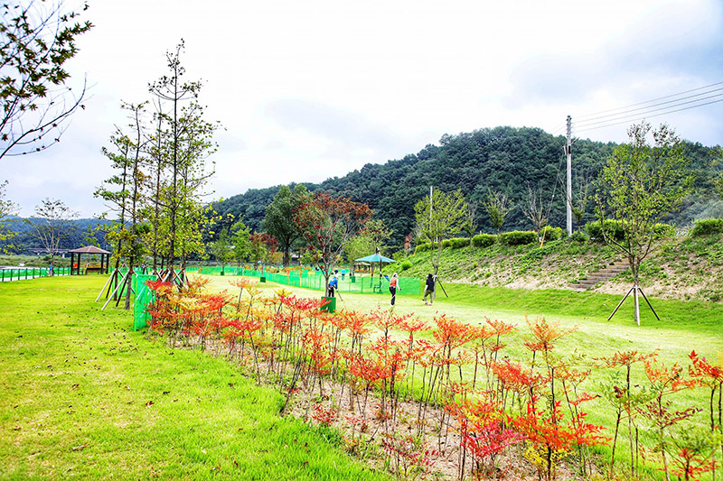 강원 삼척 미로파크골프장 미리보기