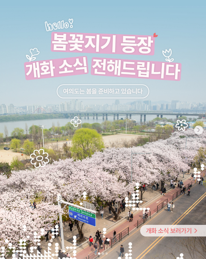 2025 여의도 벚꽃축제 일정