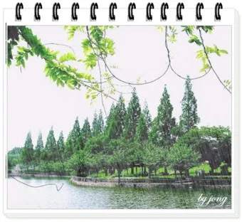 좋은글과 좋은음악이 있는곳_11