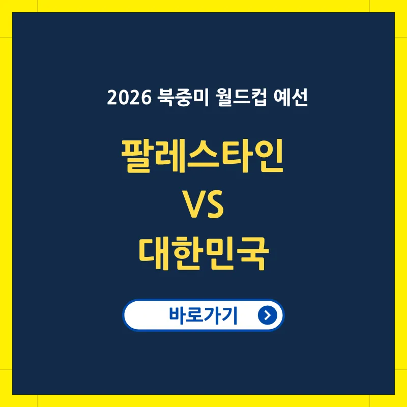 팔레스타인 VS 대한민국