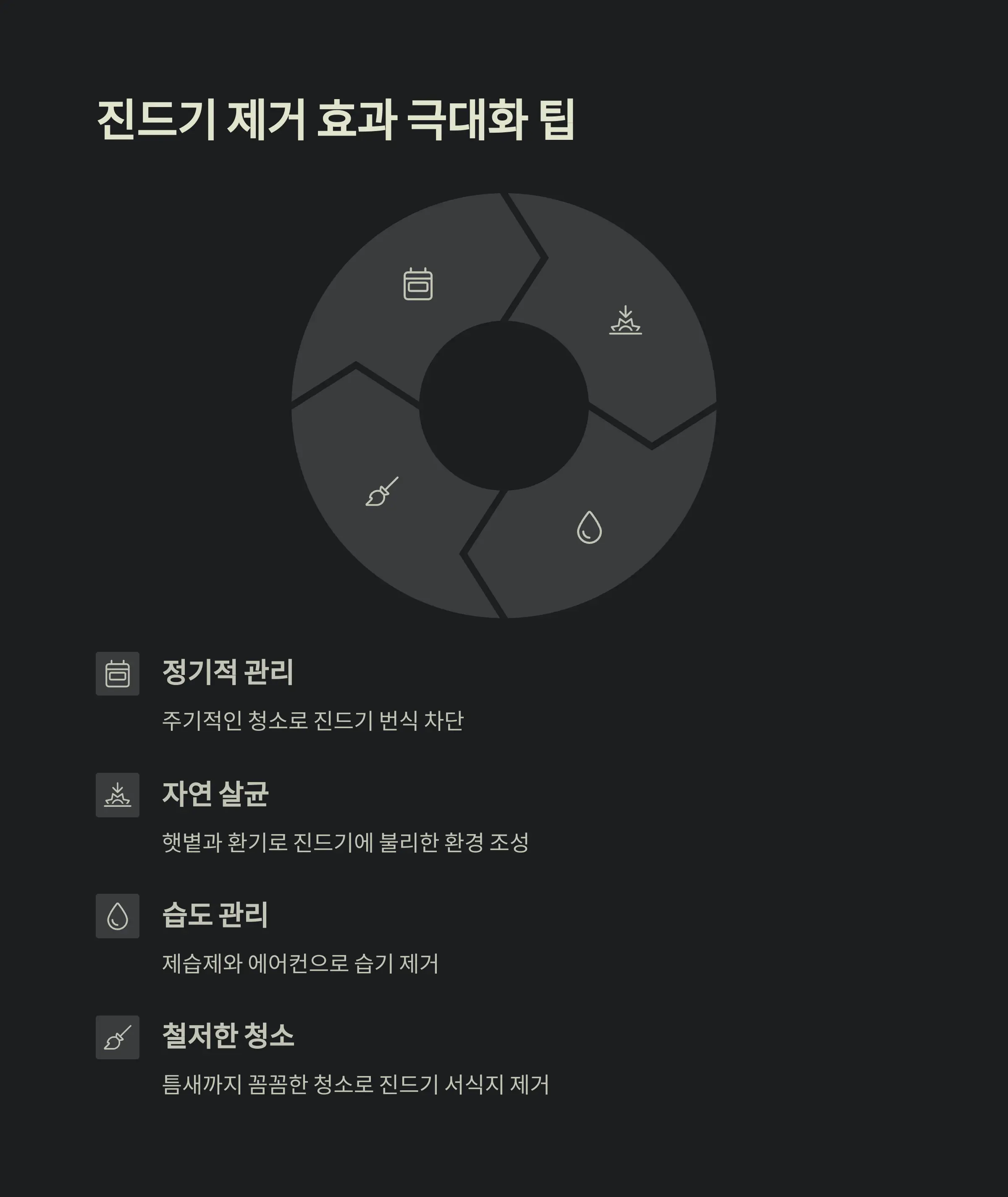 차량 진드기 제거 정보
