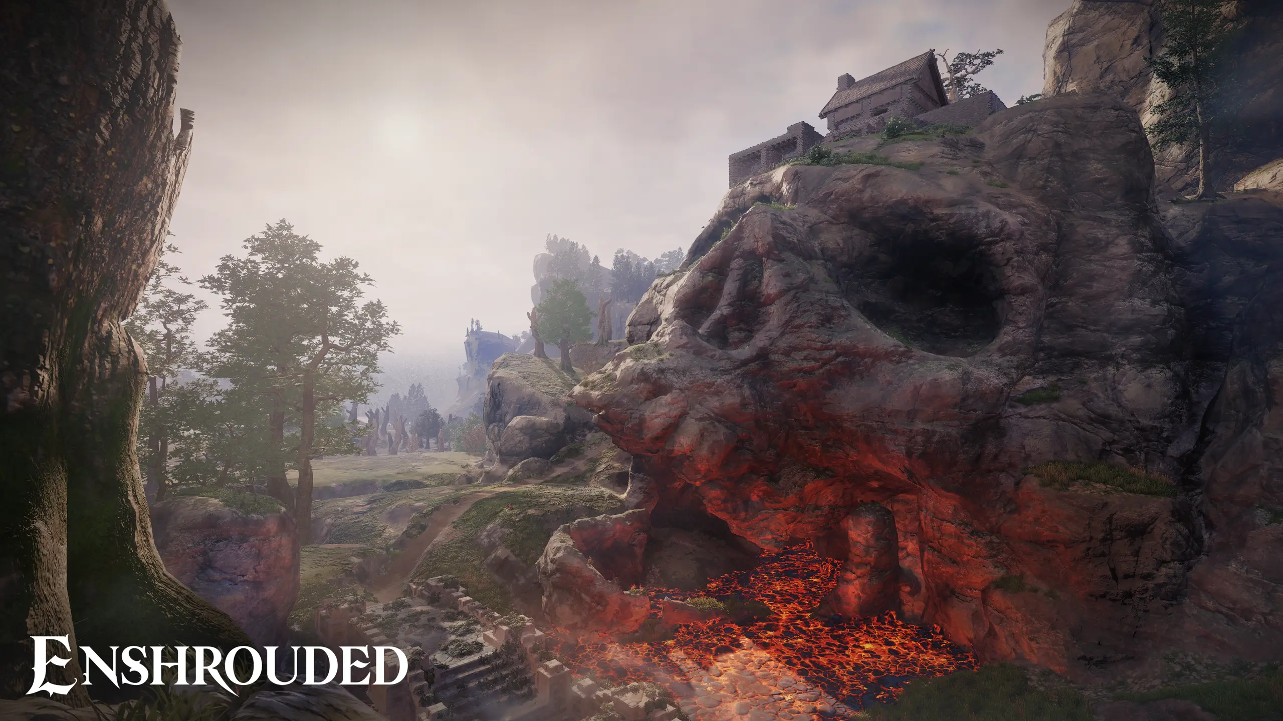 인슈라오디드 사양