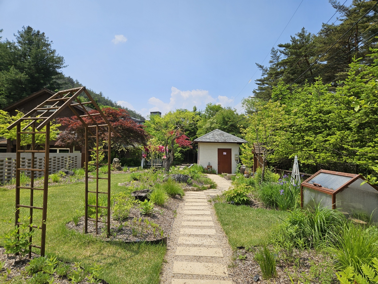 국립한국자생식물원 관람 가이드|운영시간·입장료·동선 정리
