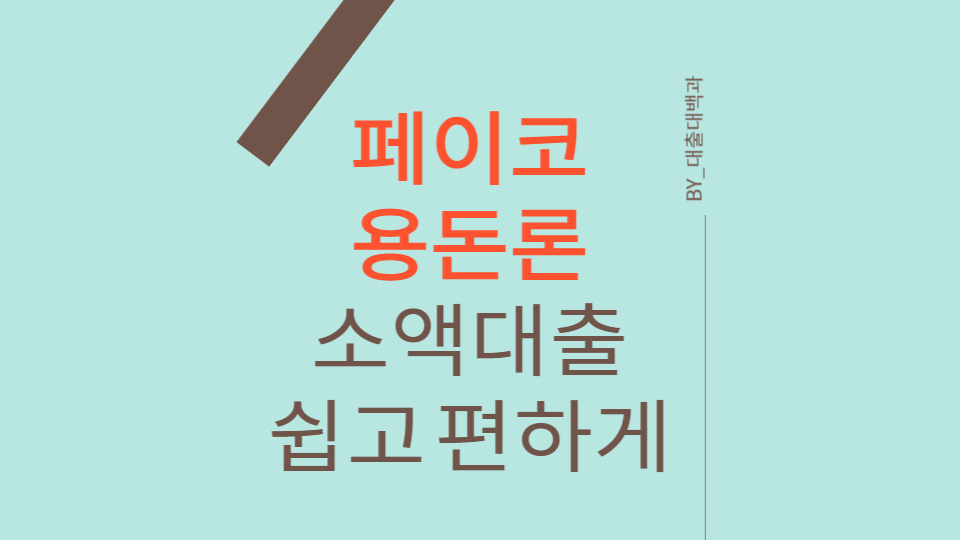 페이코 용돈론 안내
