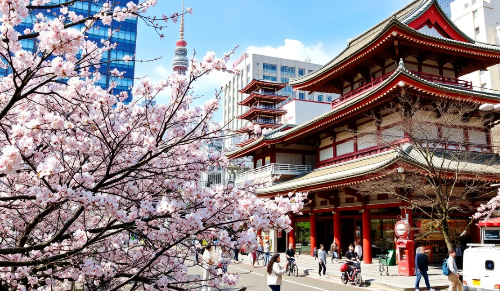 4월 도쿄 이미지입니다.