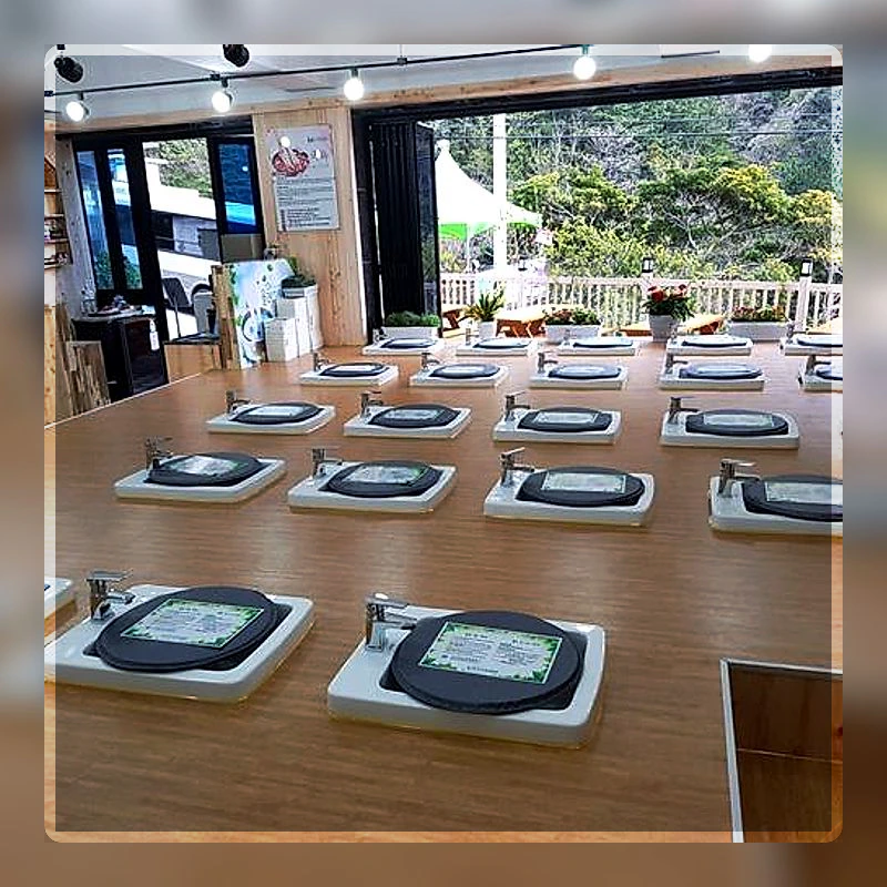 Ulleungdo Olle Pension_5