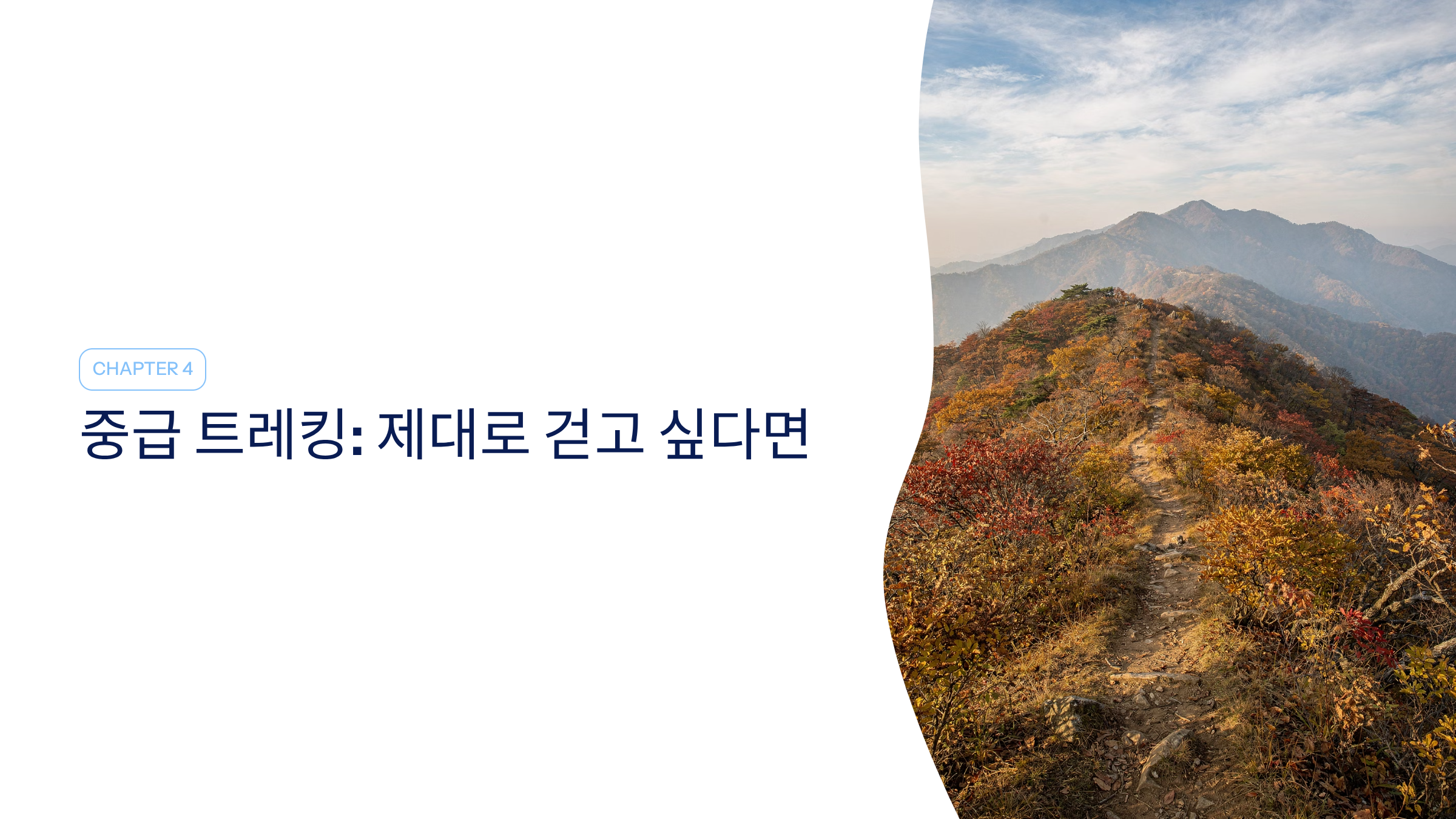 순천 근교 산책 달리기 트레킹 코스 추천 ❘ 습지부터 산줄기까지 걷는 여행