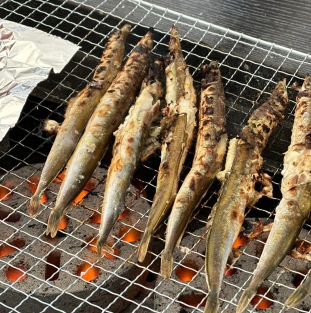 6시내고향-속초항-양미리-금성호-도루묵-택배