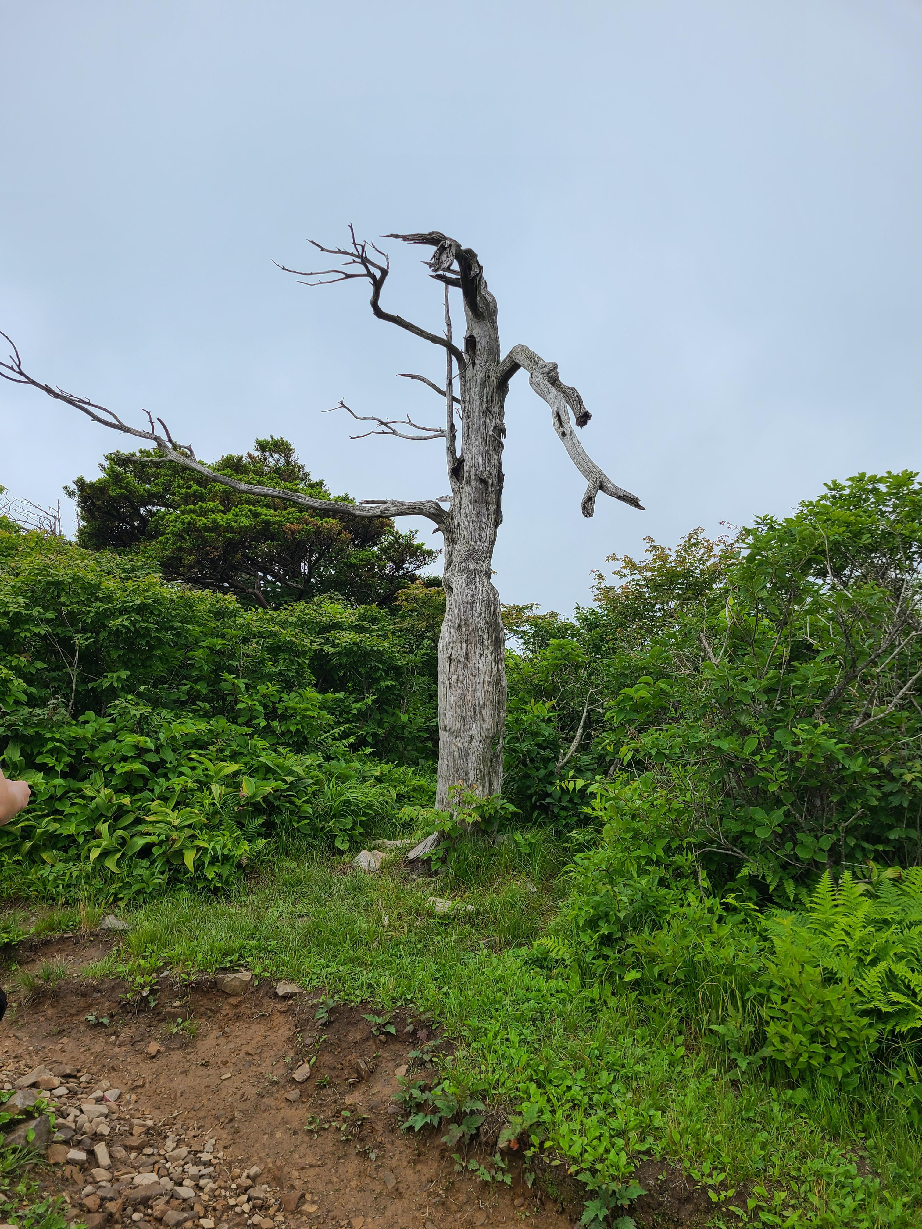 태백산