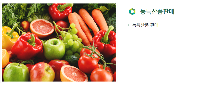 아이와 함께 가기좋은 연천 구석기 축제 공연 및 예매 할인 정보