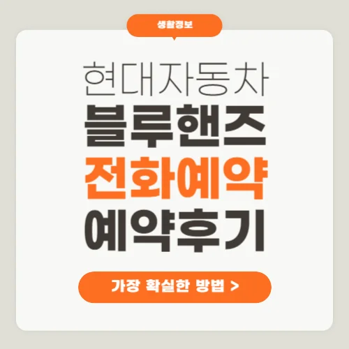 현대자동차 블루핸즈 예약
