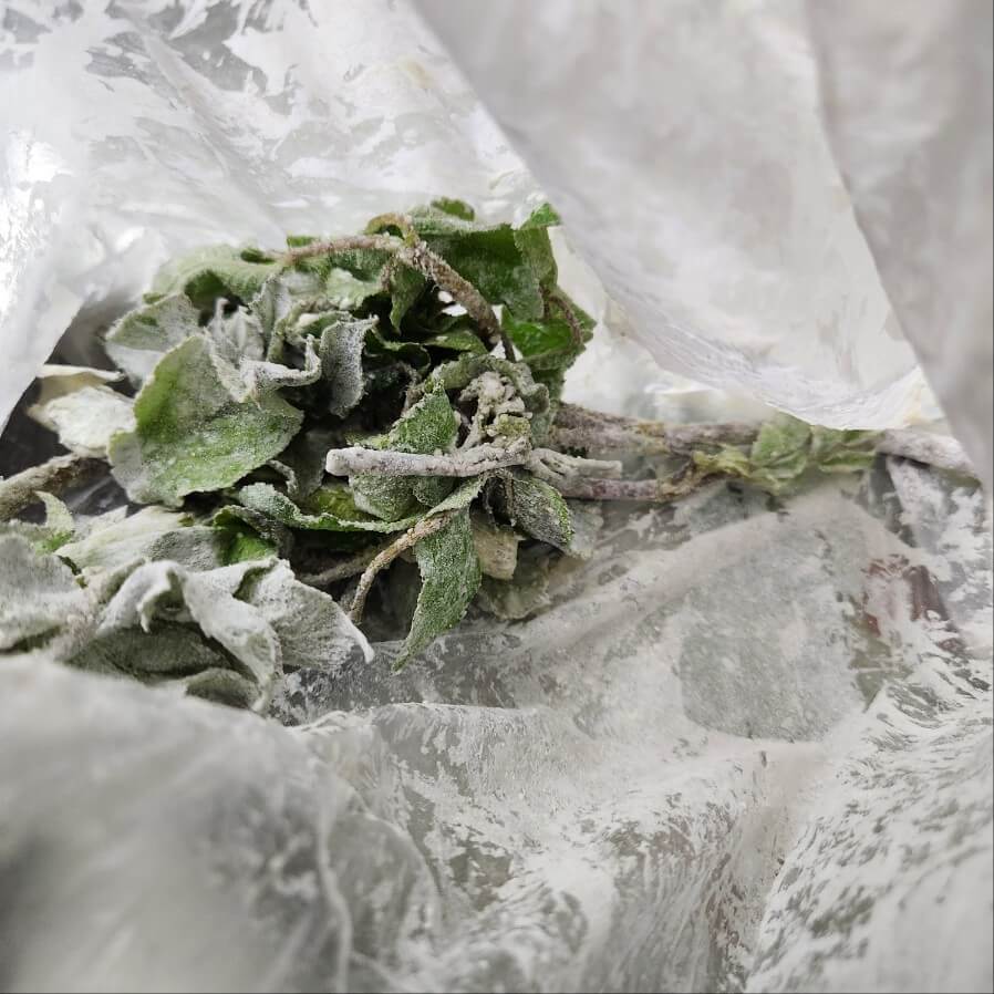 #오징어튀김 반죽 #고구마튀김반죽 #새우튀김 반죽 #튀김 반죽 만드는법 #튀김 반죽 #튀김 반죽 맥주 #튀김 반죽 탄산수 #튀김 반죽 비율 #궁극의 튀김반죽 마르코쉐프식vs일반 #생선 냄새 잡아주는 튀김반죽 피쉬앤칩스 #오징어 튀김 반죽 #고구마 튀김 반죽 #바삭한 튀김 반죽 #튀김가루 반죽 #오징어 튀김 만드는 법 바삭하게 만드는 반죽비법 #일본식 튀김 반죽 #고구마튀김:반죽에 유의하세요 #튀김반죽 만들기 #튀김반죽 비율 #튀김반죽 맥주 #튀김반죽 계란 #튀김반죽 영어로 #튀김반죽 탄산수 #튀김반죽 버리기 #튀김반죽에 물 #튀김반죽 달걀 #튀김반죽 소금