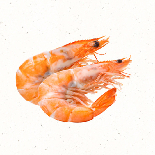 아스타잔틴 풍부한 대하