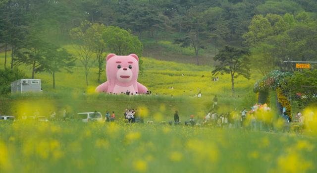 2025 화순 봄꽃 축제