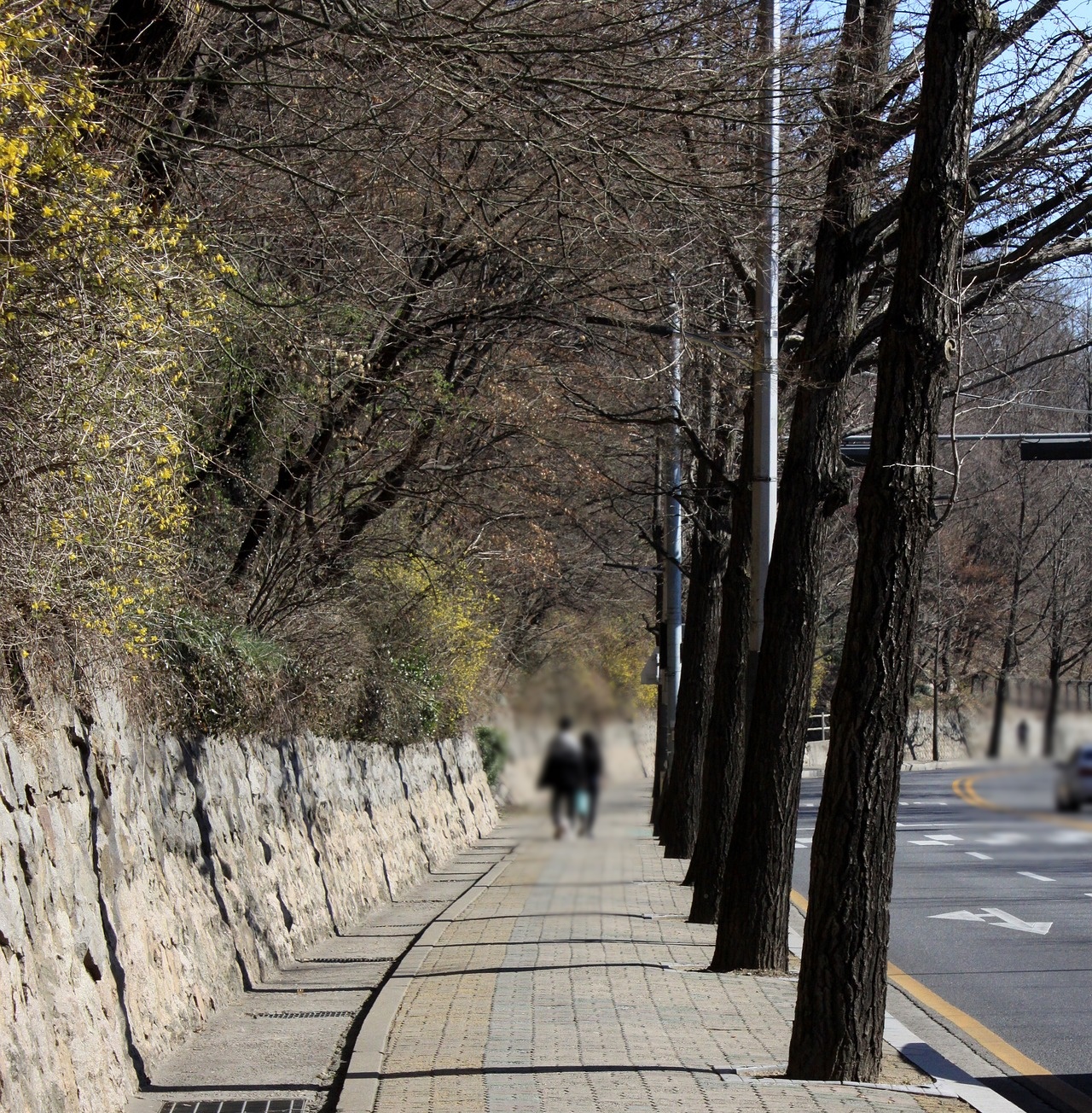 노후에 체력이 자산이 되는 구조적 이유!