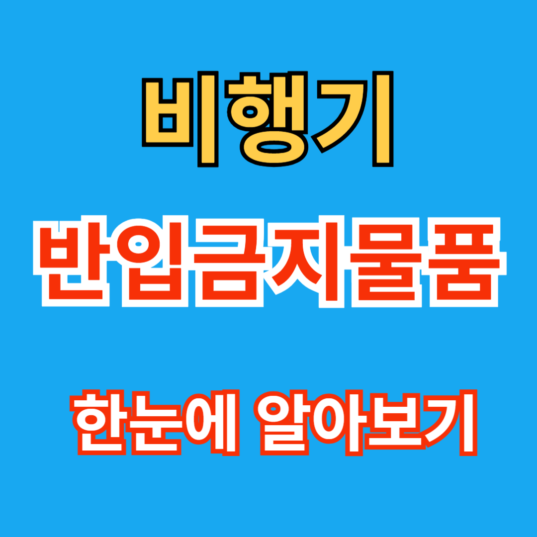 비행기 기내 반입금지 물품 한눈에 살펴보기