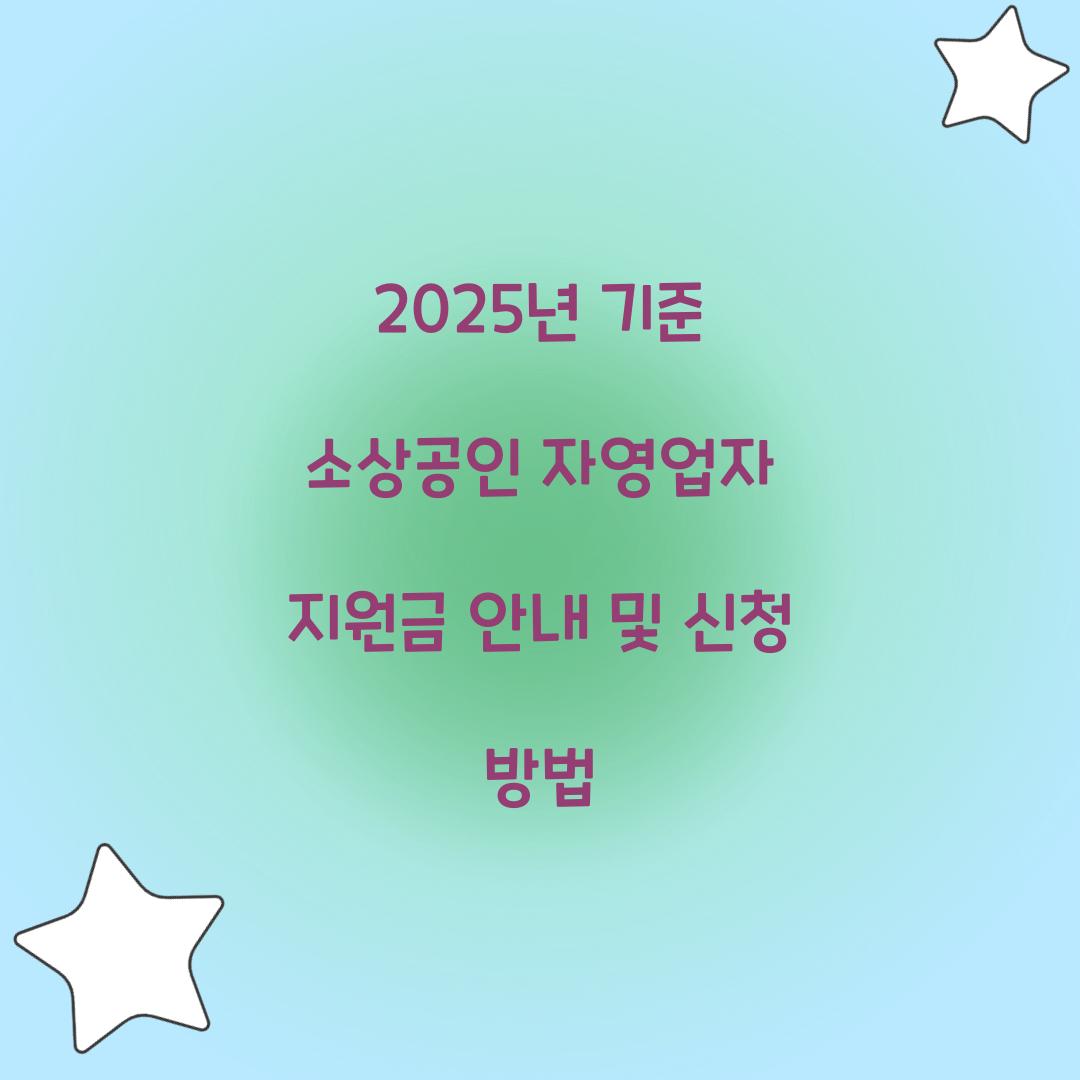 2025년 기준 소상공인 자영업자 지원금