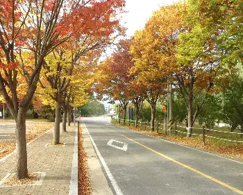 주왕산 국립공원 단풍_16