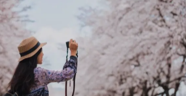 국내 벚꽃 여행하기 좋은 코스