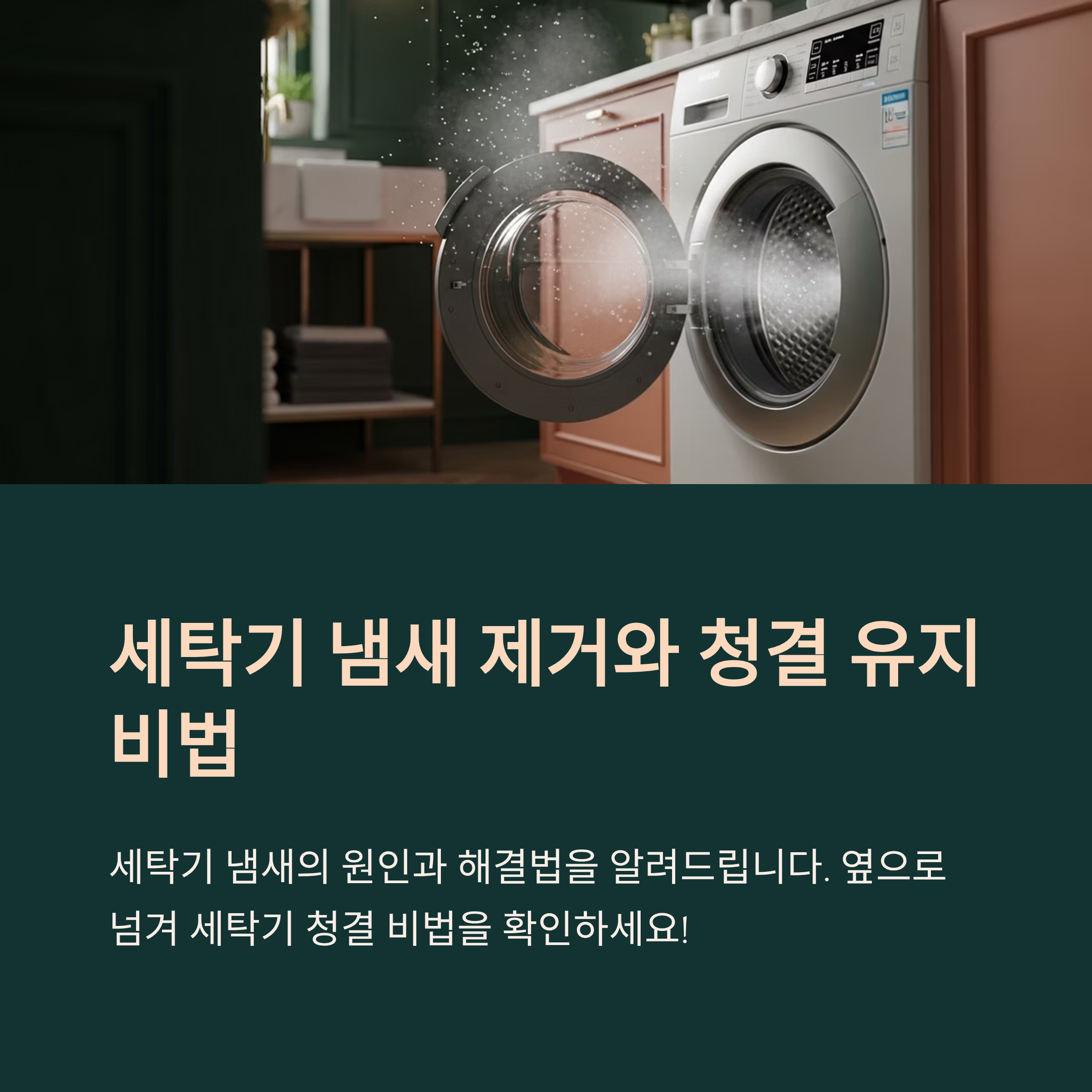 세탁기 냄새 제거와 청결 유지 비법
