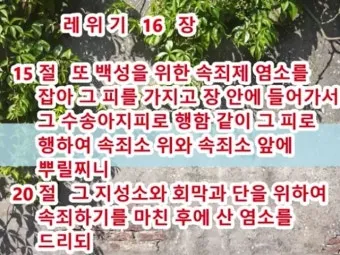 대속죄일 아사셀 염소 레위기 16장 묵상_14