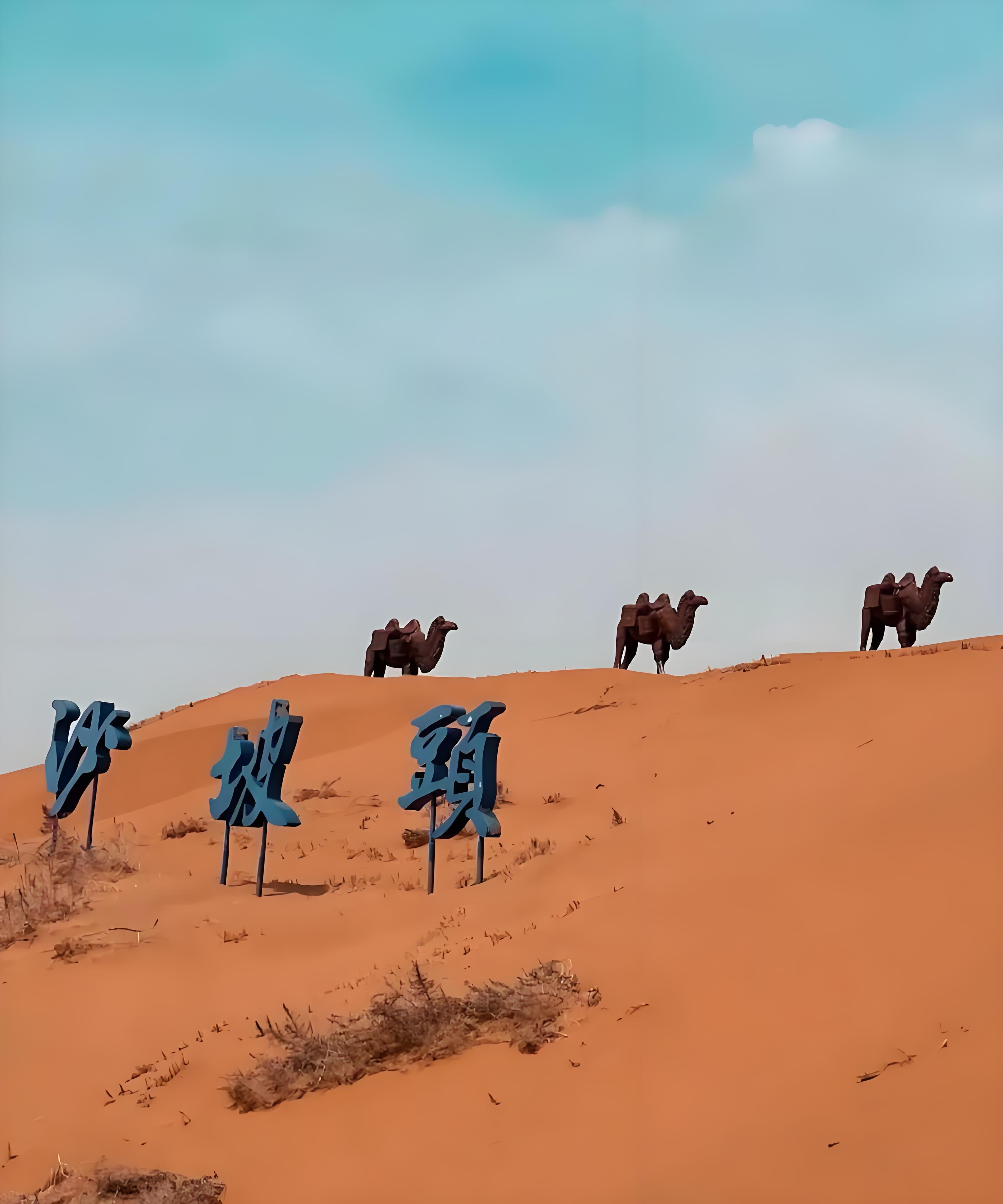 중국 '중웨이'(中卫) 사막 사진