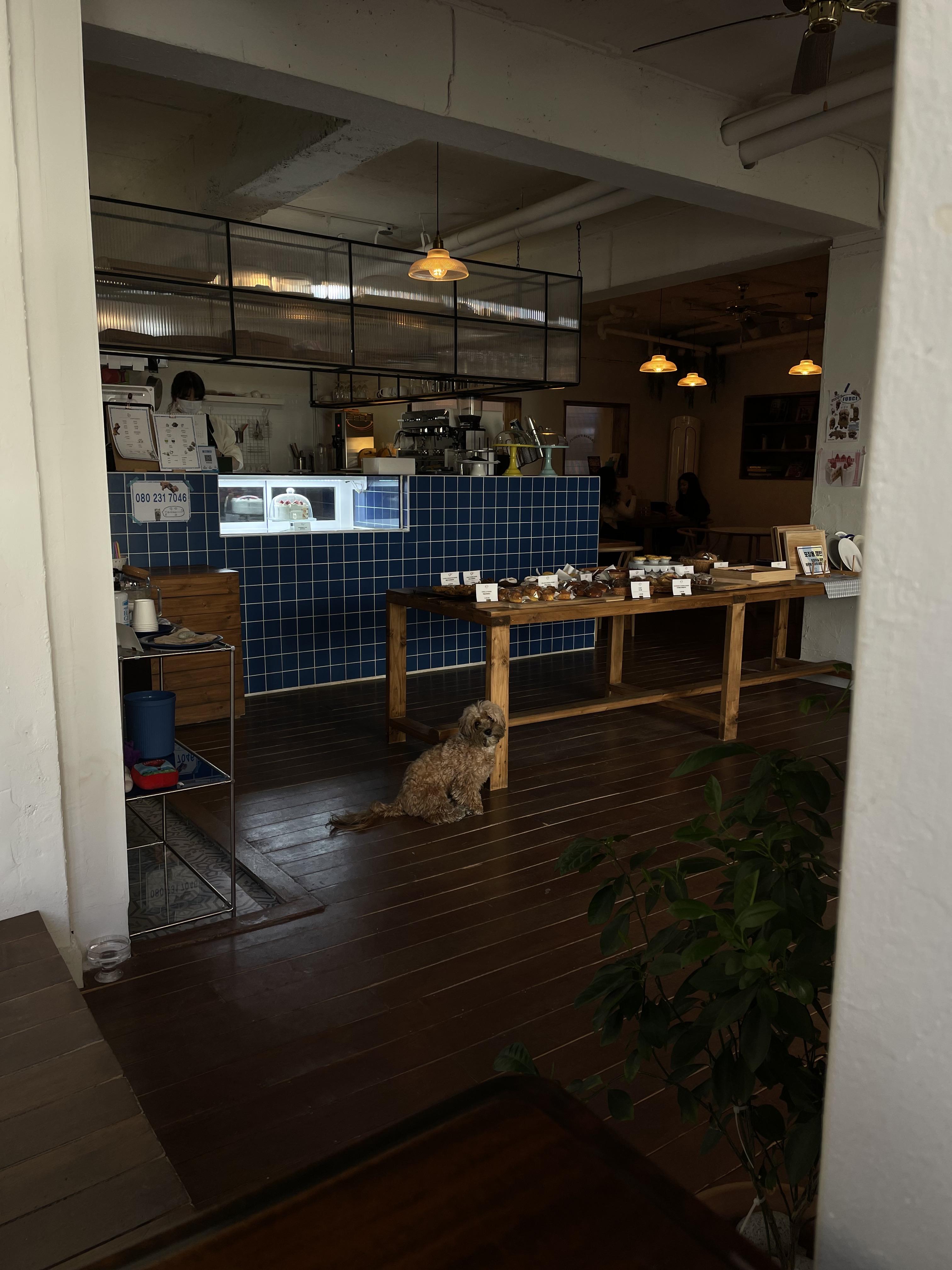 울산 애견동반 카페 퍼지네과자점