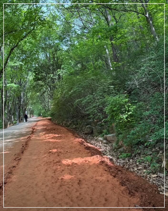 대전 가볼만한곳 베스트10 계족산 황토길