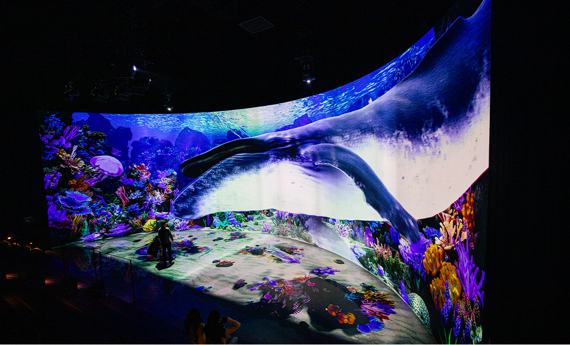 대관령 눈꽃축제 기본정보